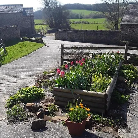 Sharlands Farm Bed And Breakfast Bude Esterno foto