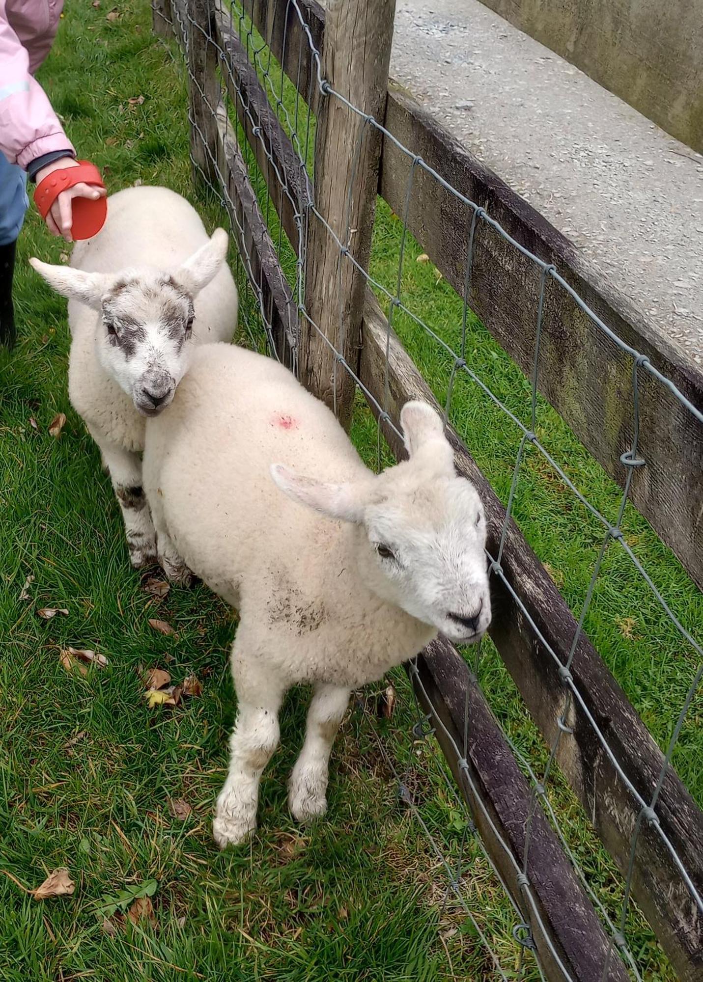 Sharlands Farm Bude